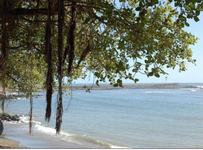 Appartement Duplex Terre Sainte Plage La Rose Des Vents ภายนอก รูปภาพ